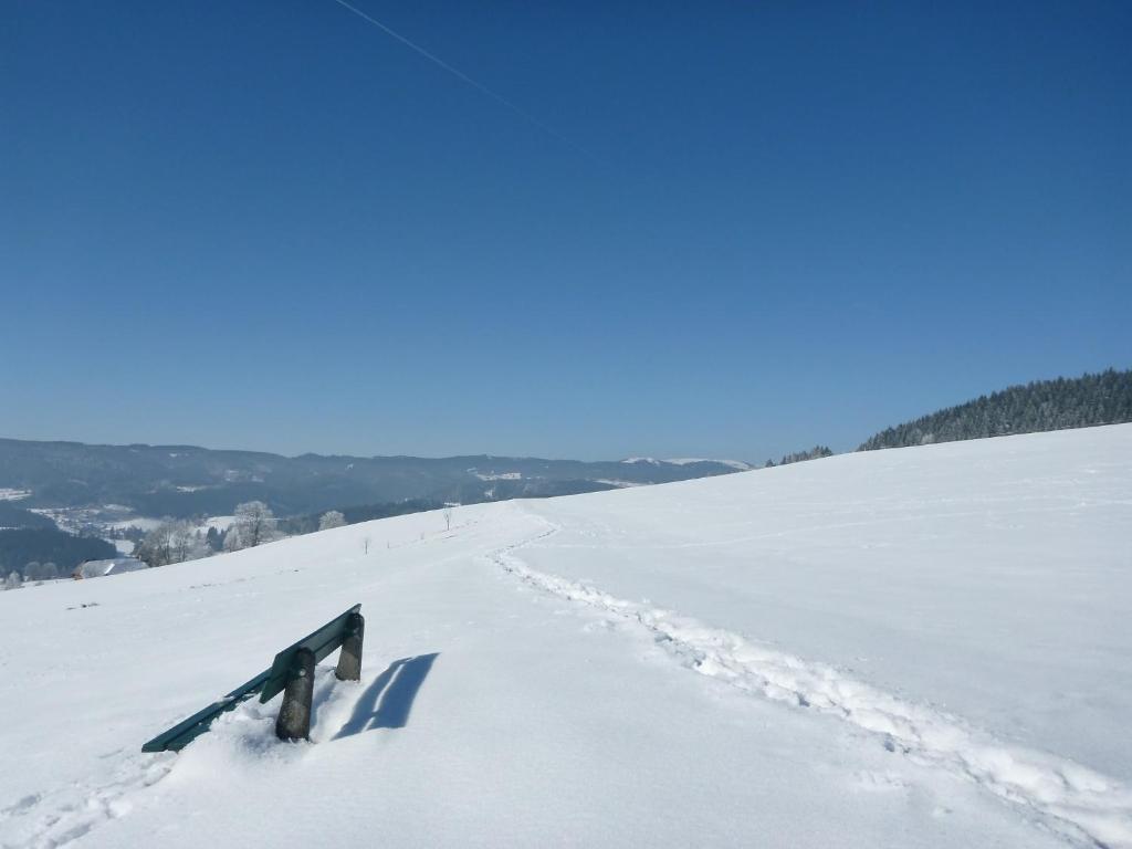Gaestehaus Hundelbach Lenzkirch Extérieur photo