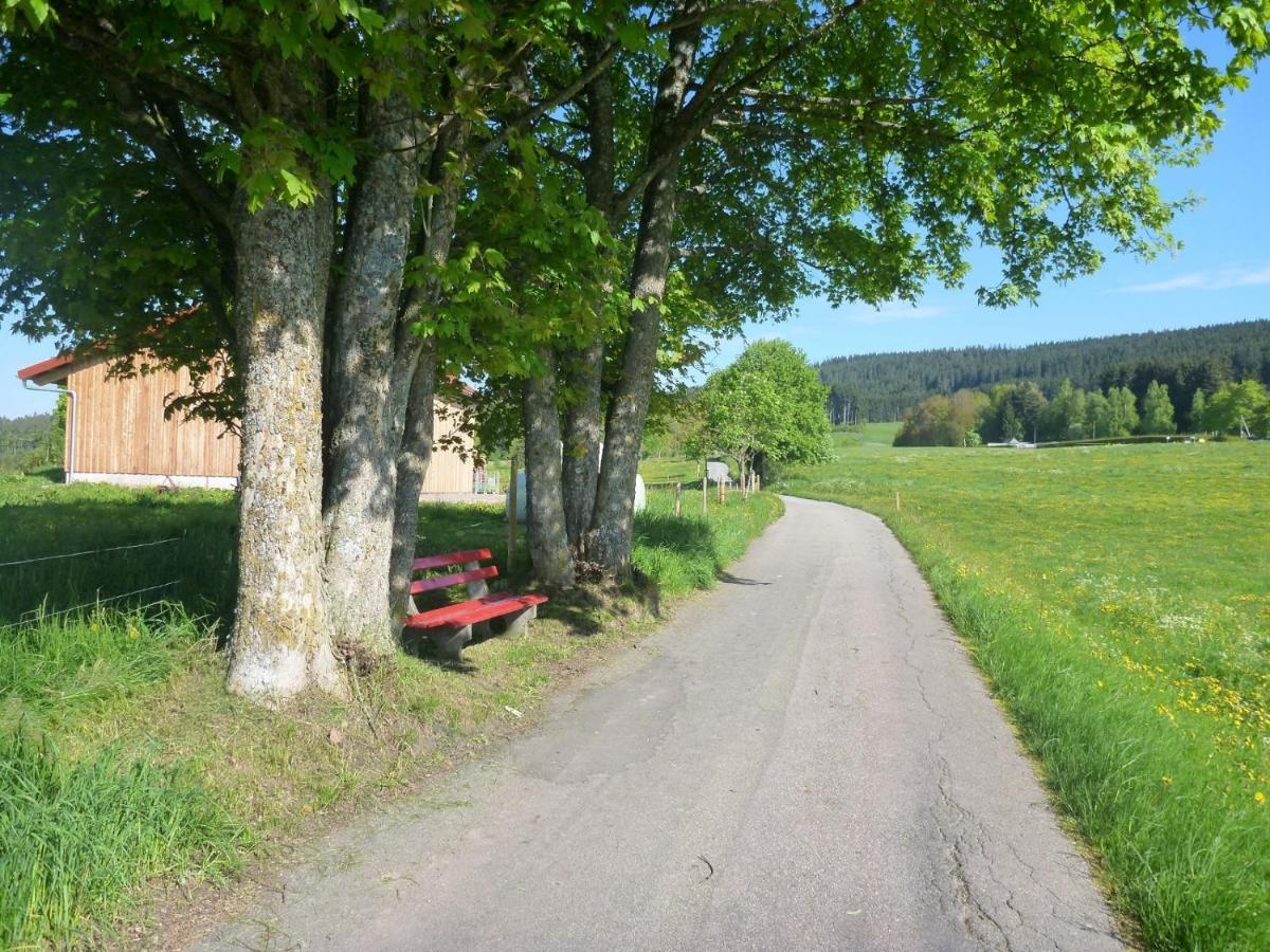 Gaestehaus Hundelbach Lenzkirch Extérieur photo